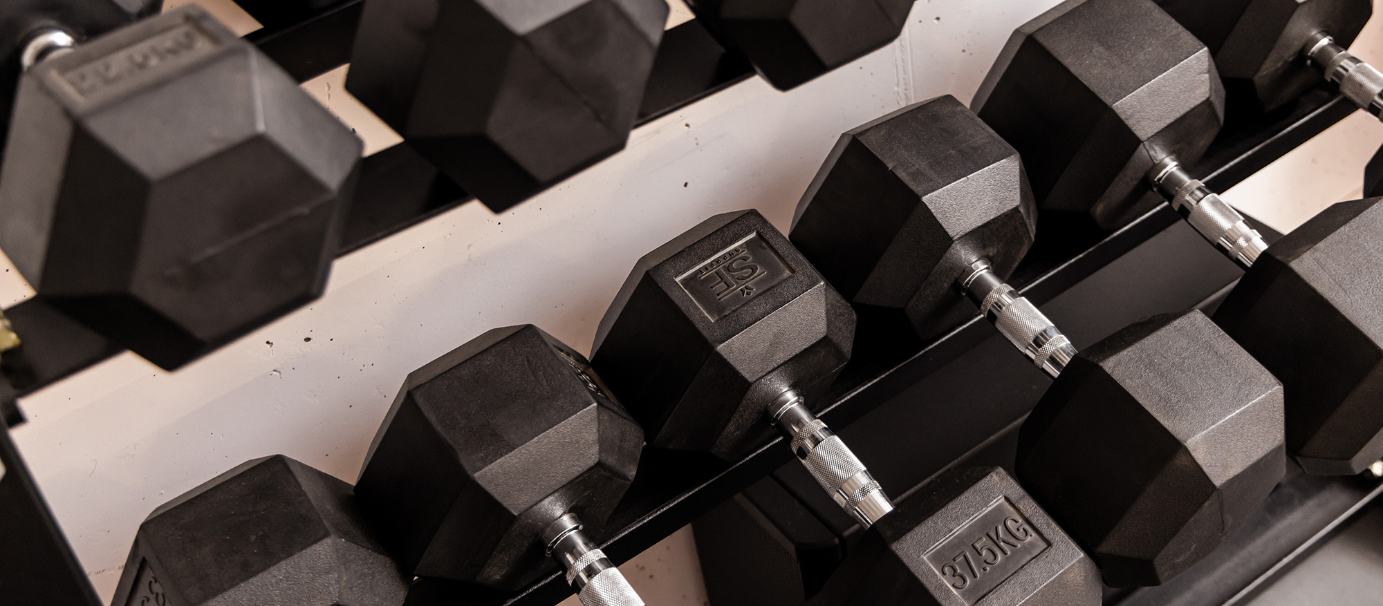 Aktuelle Meldungen der Fiteria